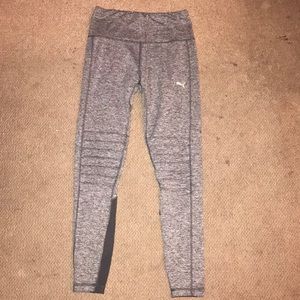 Gray puma leggings